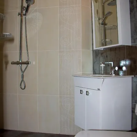 Apartament D And P *